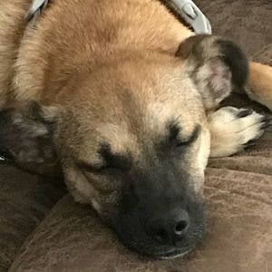 Meet your Posher, Janet